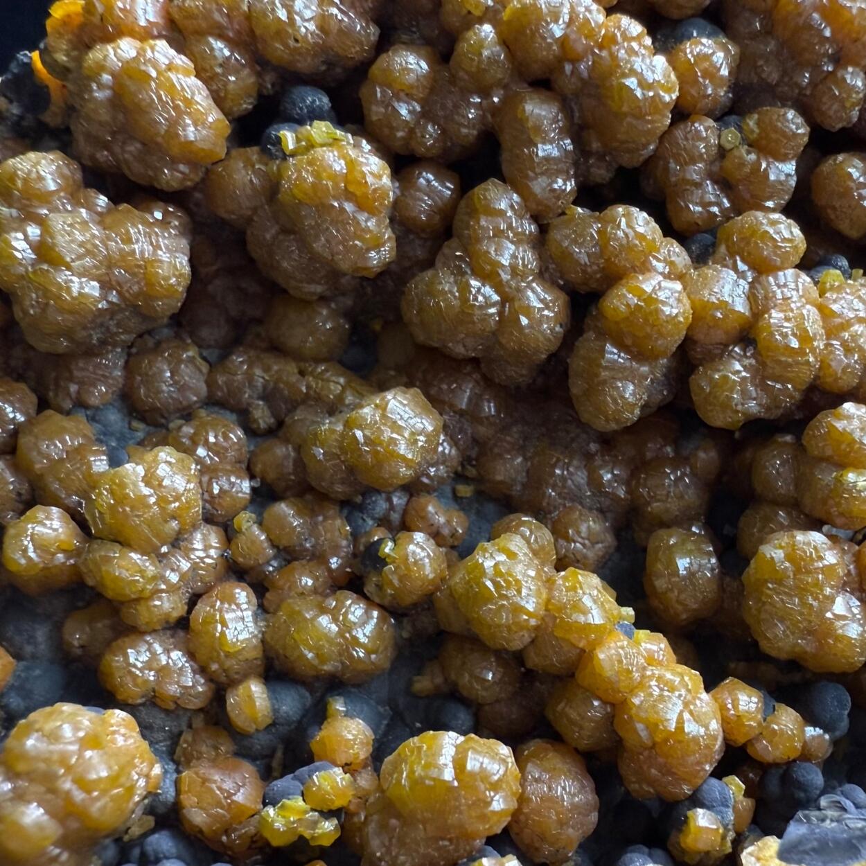 Campylite & Coronadite