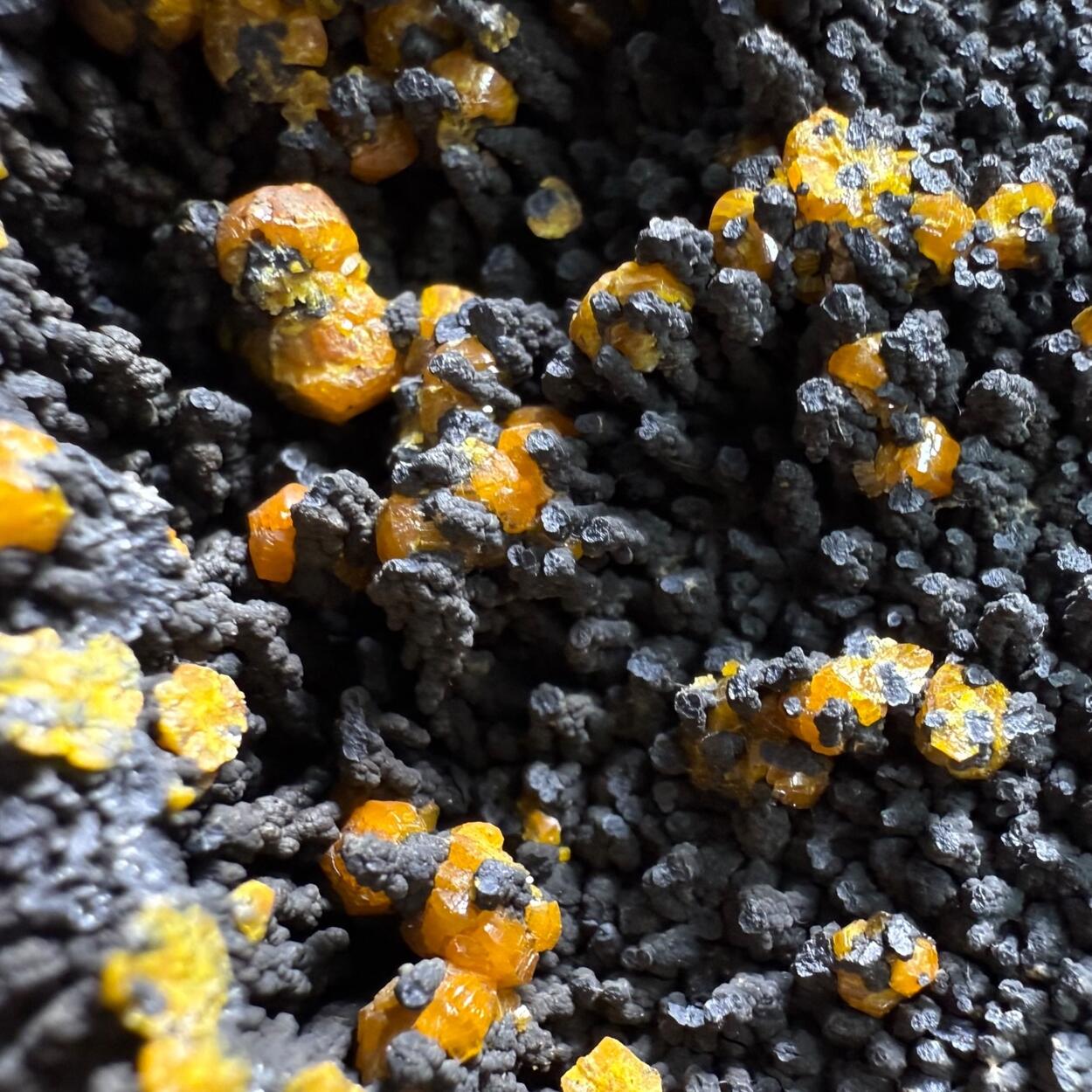 Campylite & Coronadite