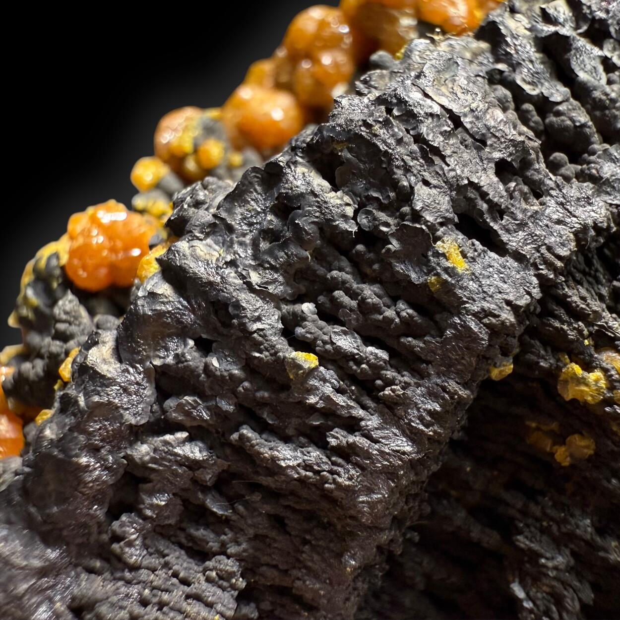 Campylite & Coronadite