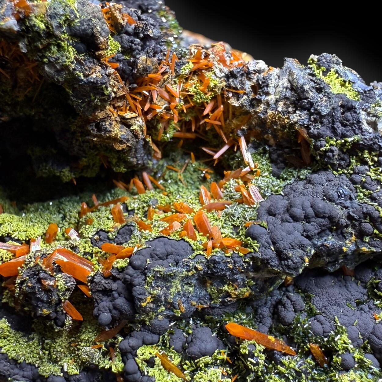 Crocoite & Pyromorphite On Cryptomelane