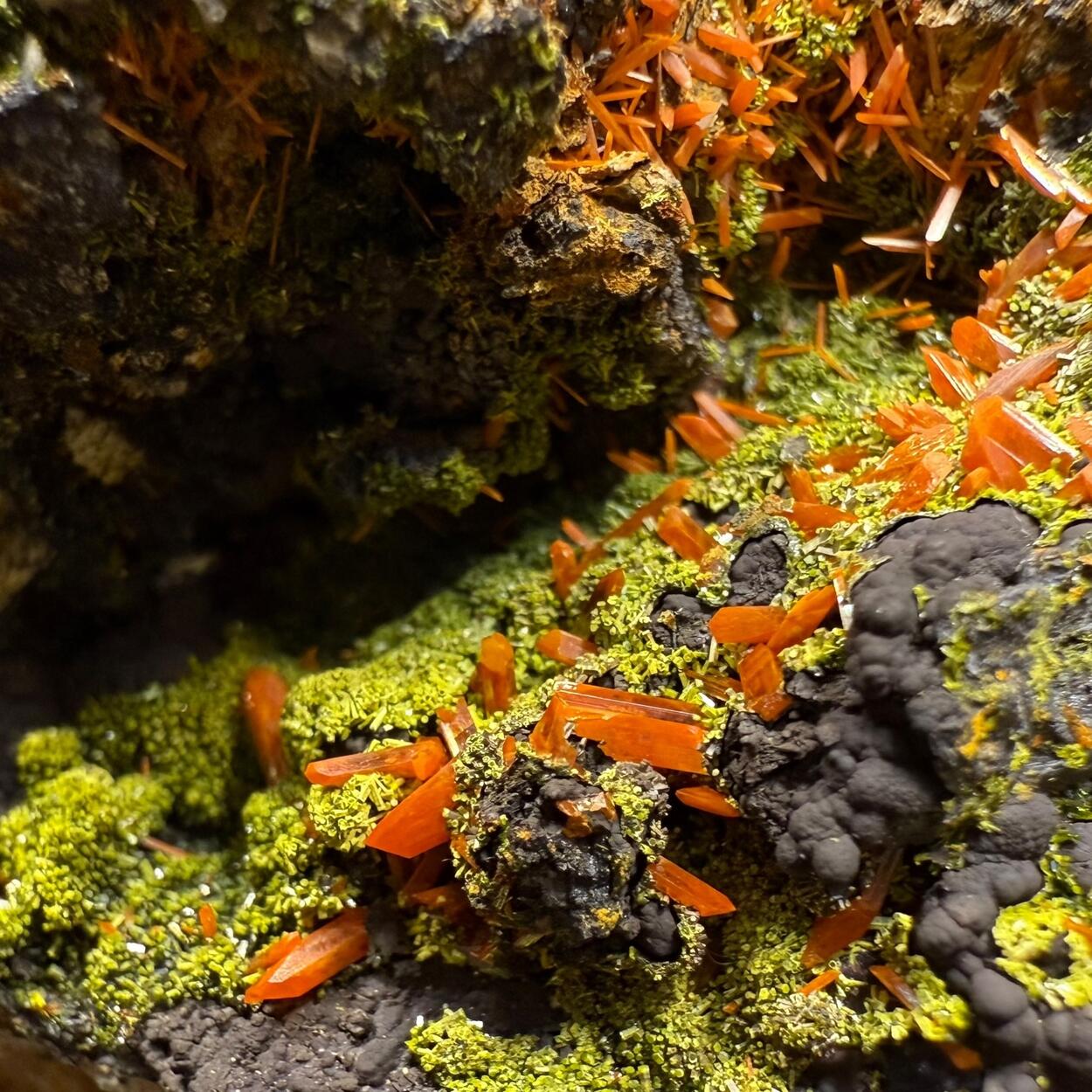 Crocoite & Pyromorphite On Cryptomelane
