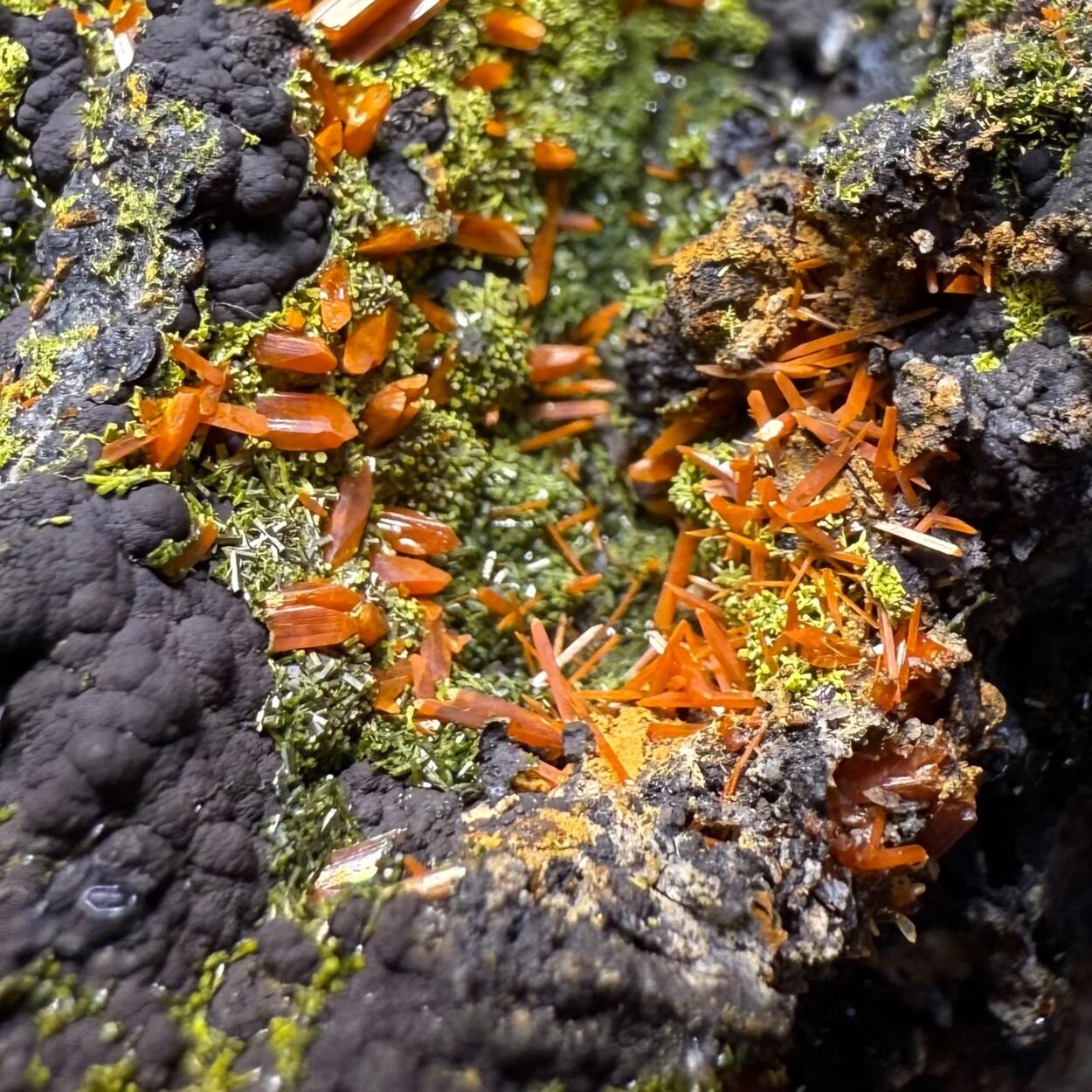 Crocoite & Pyromorphite On Cryptomelane