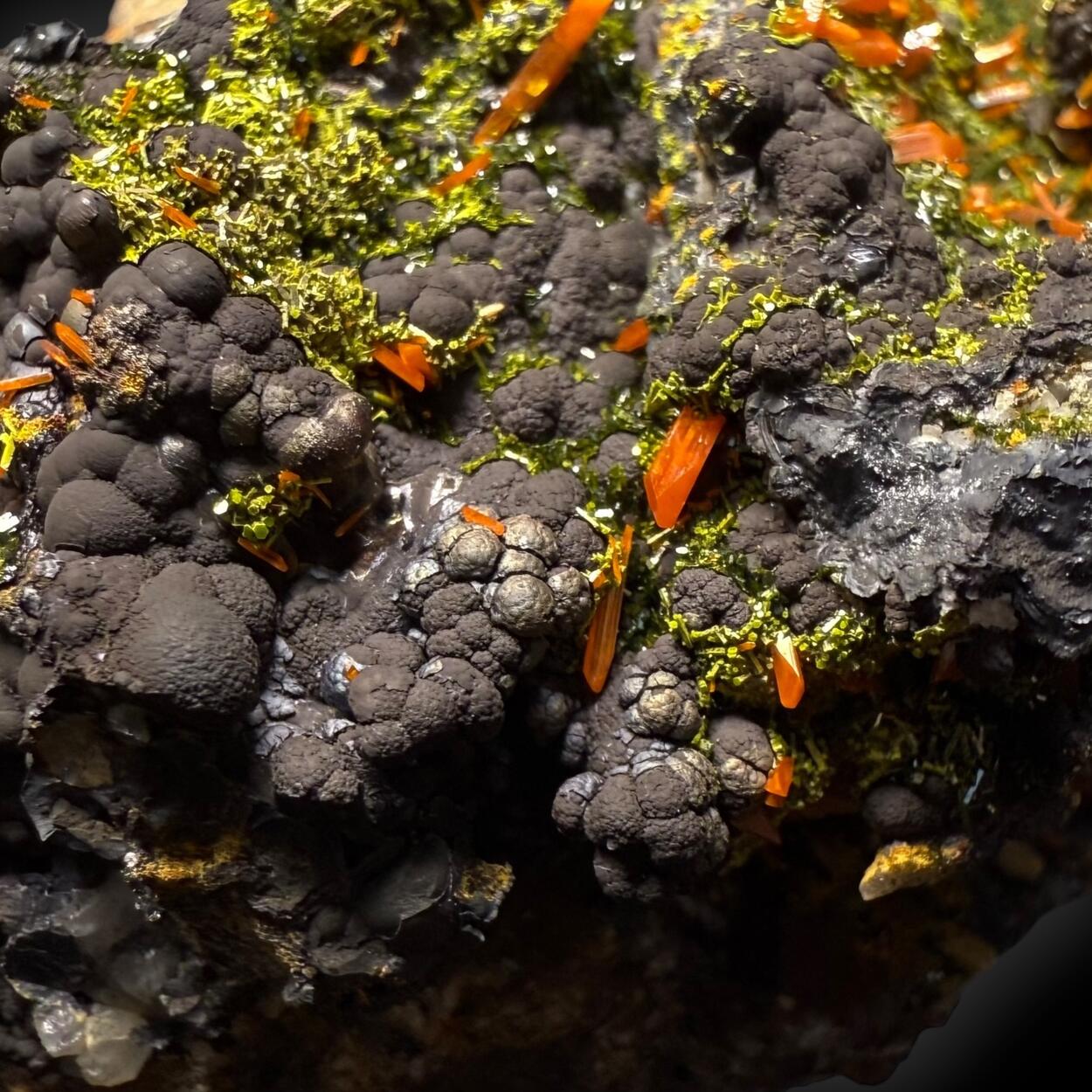 Crocoite & Pyromorphite On Cryptomelane