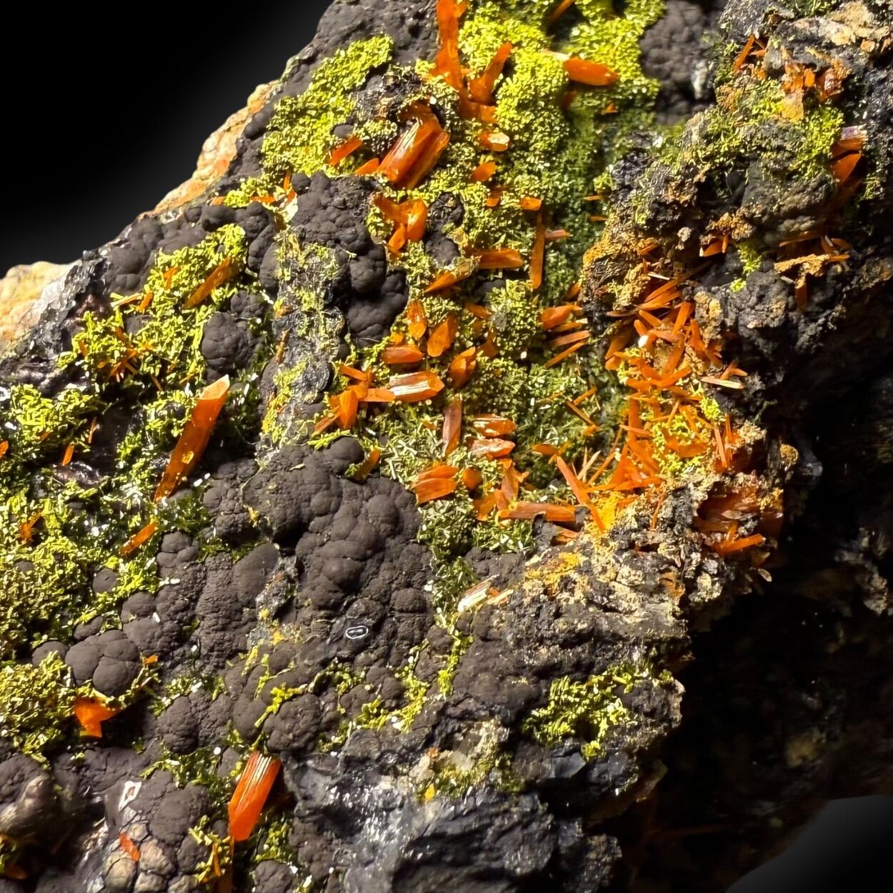 Crocoite & Pyromorphite On Cryptomelane