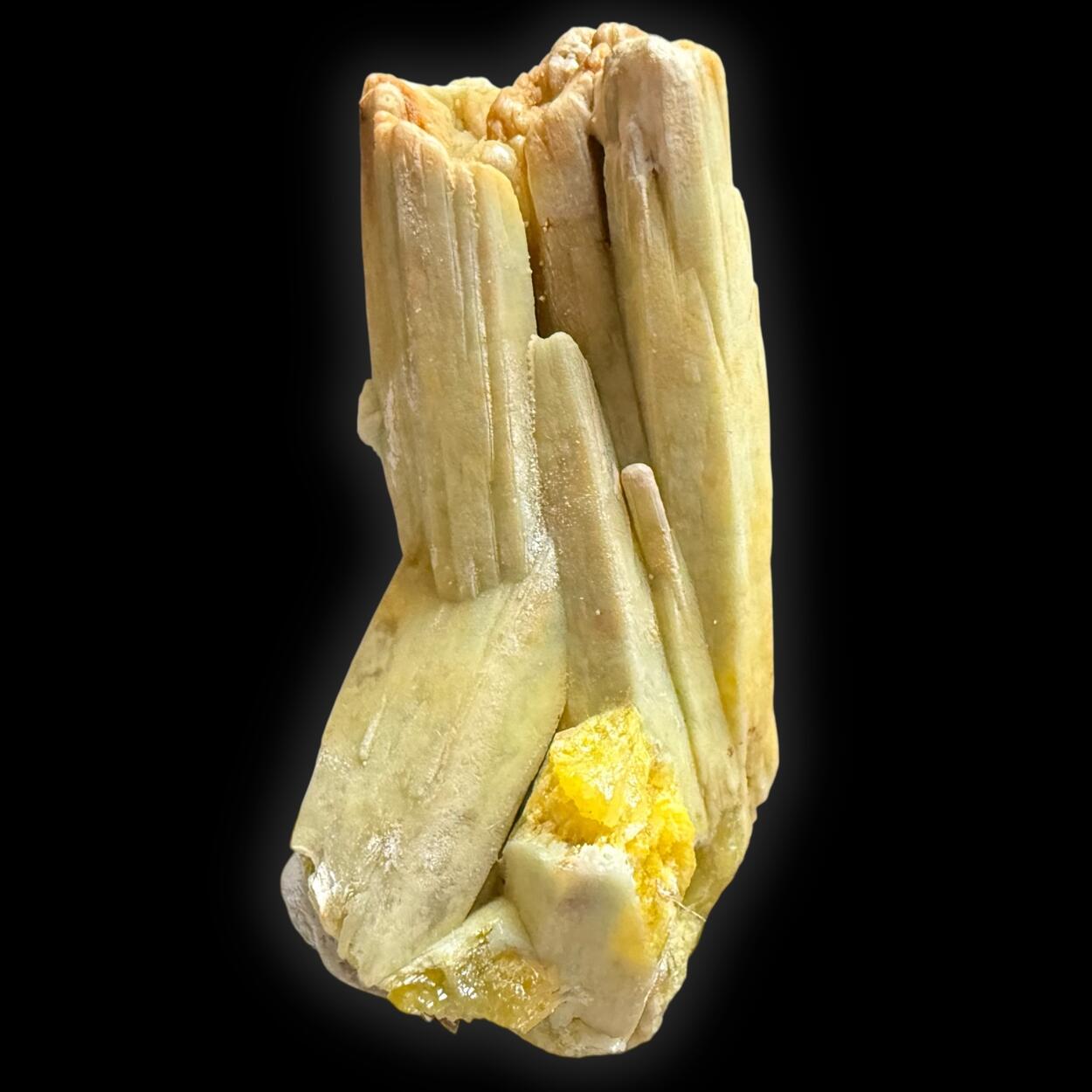 Pyromorphite With Plumbogummite