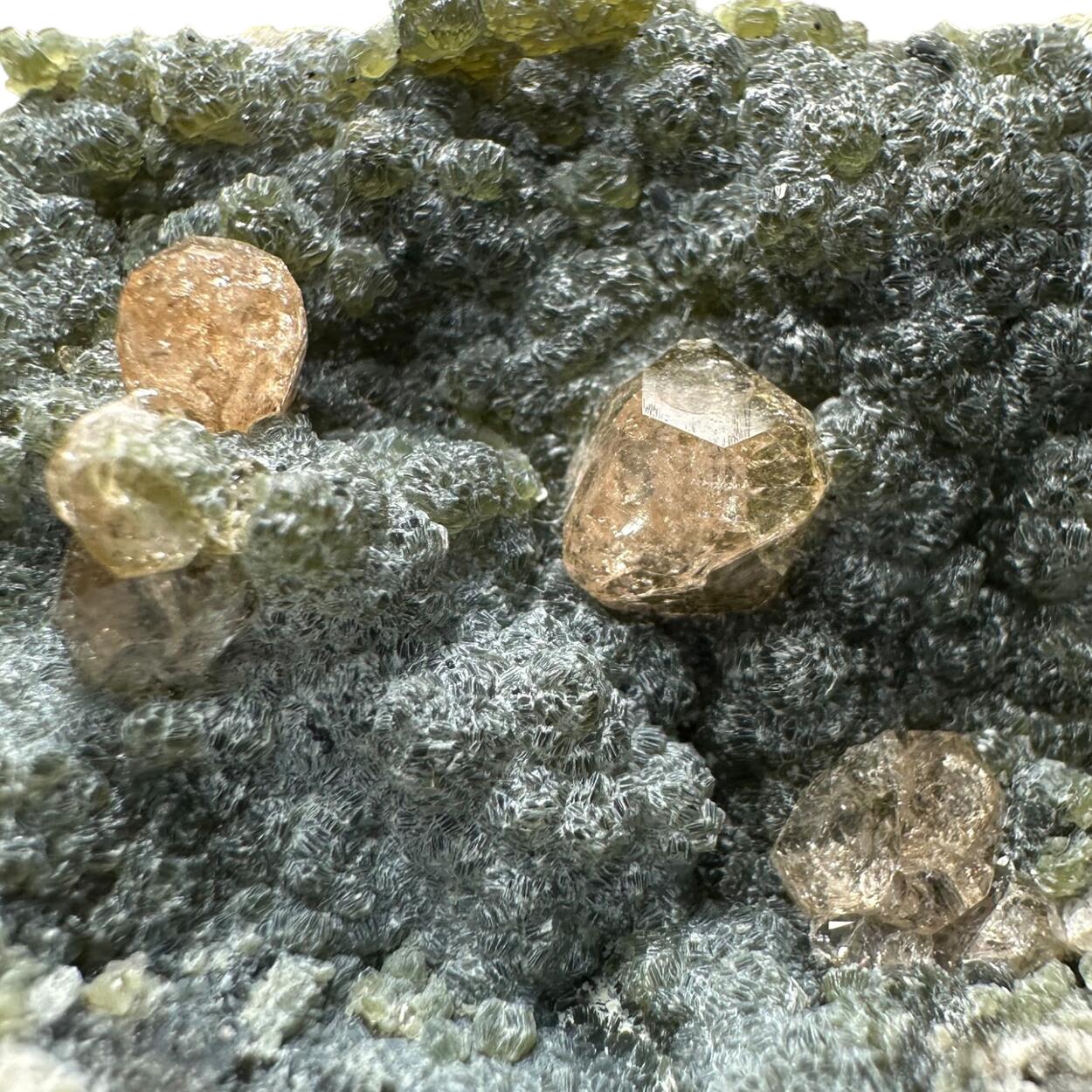 Grossular On Chamosite