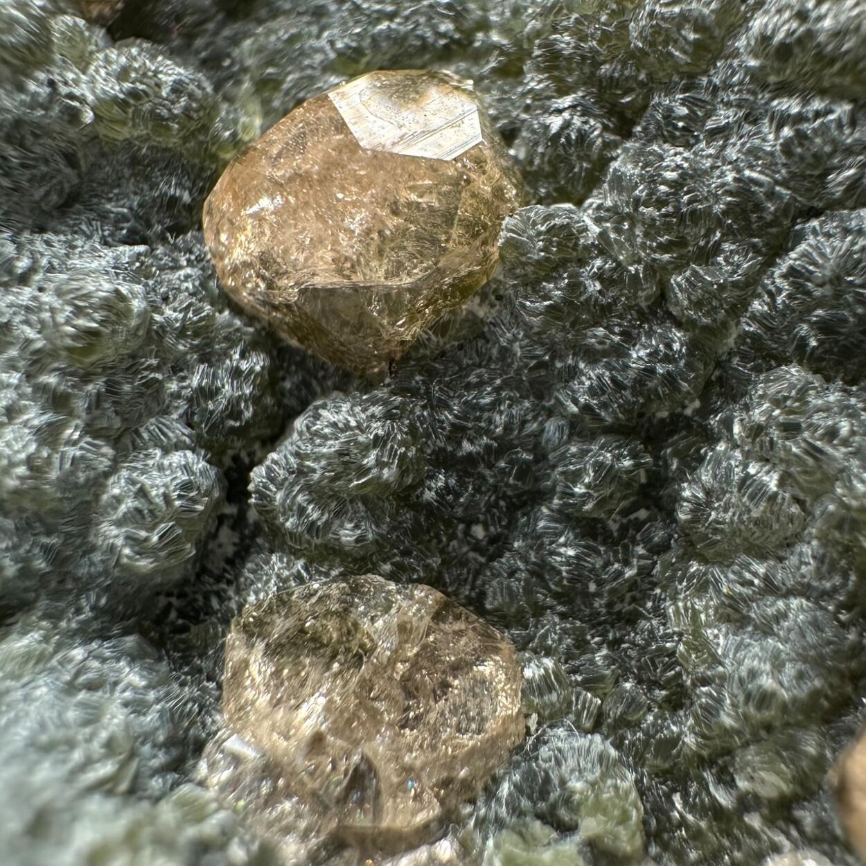 Grossular On Chamosite