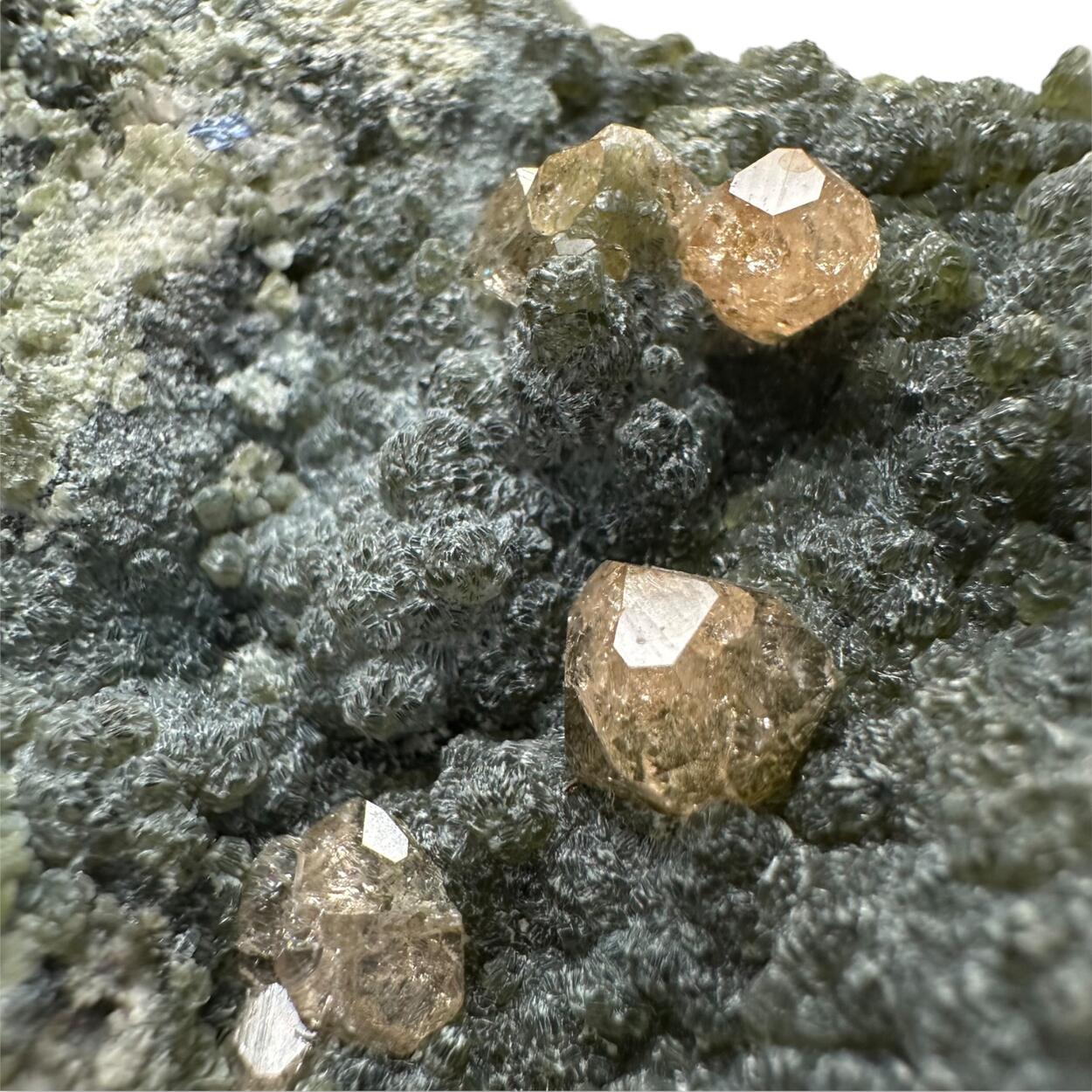 Grossular On Chamosite