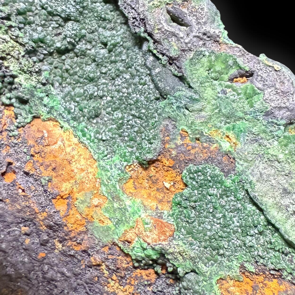 Bayldonite