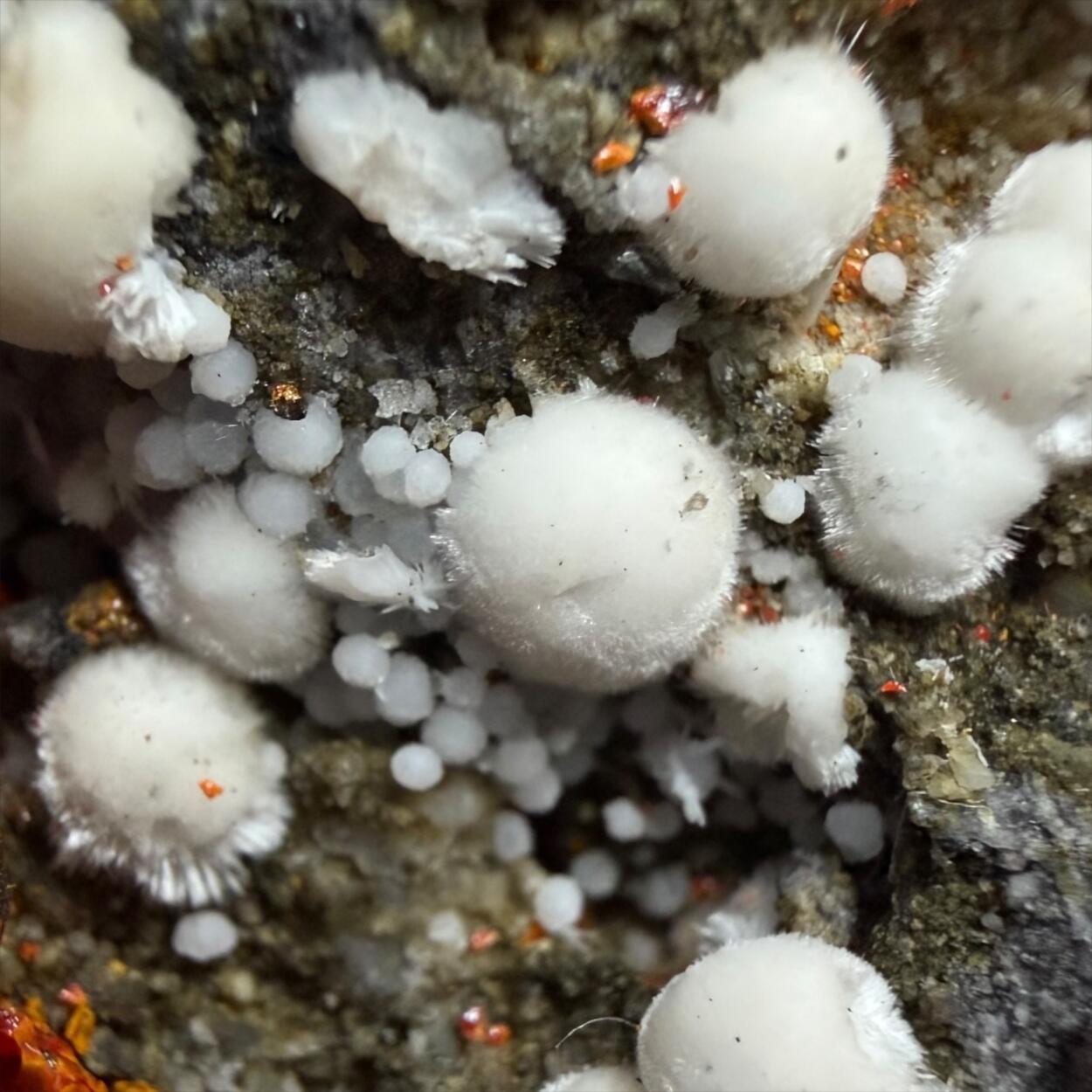 Picropharmacolite Realgar & Calcite