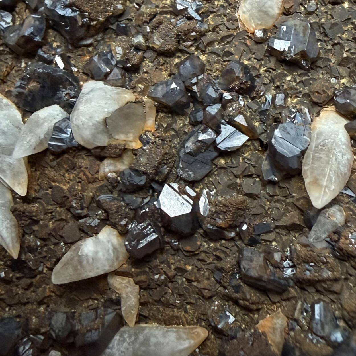 Calcite & Sphalerite With Pyrite On Barian Celestine