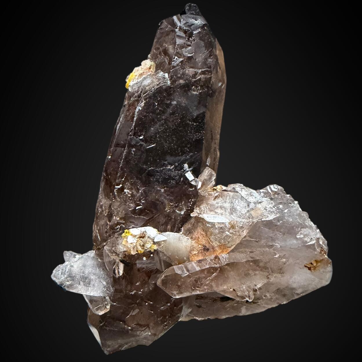Xenotime-(Y) & Smoky Quartz