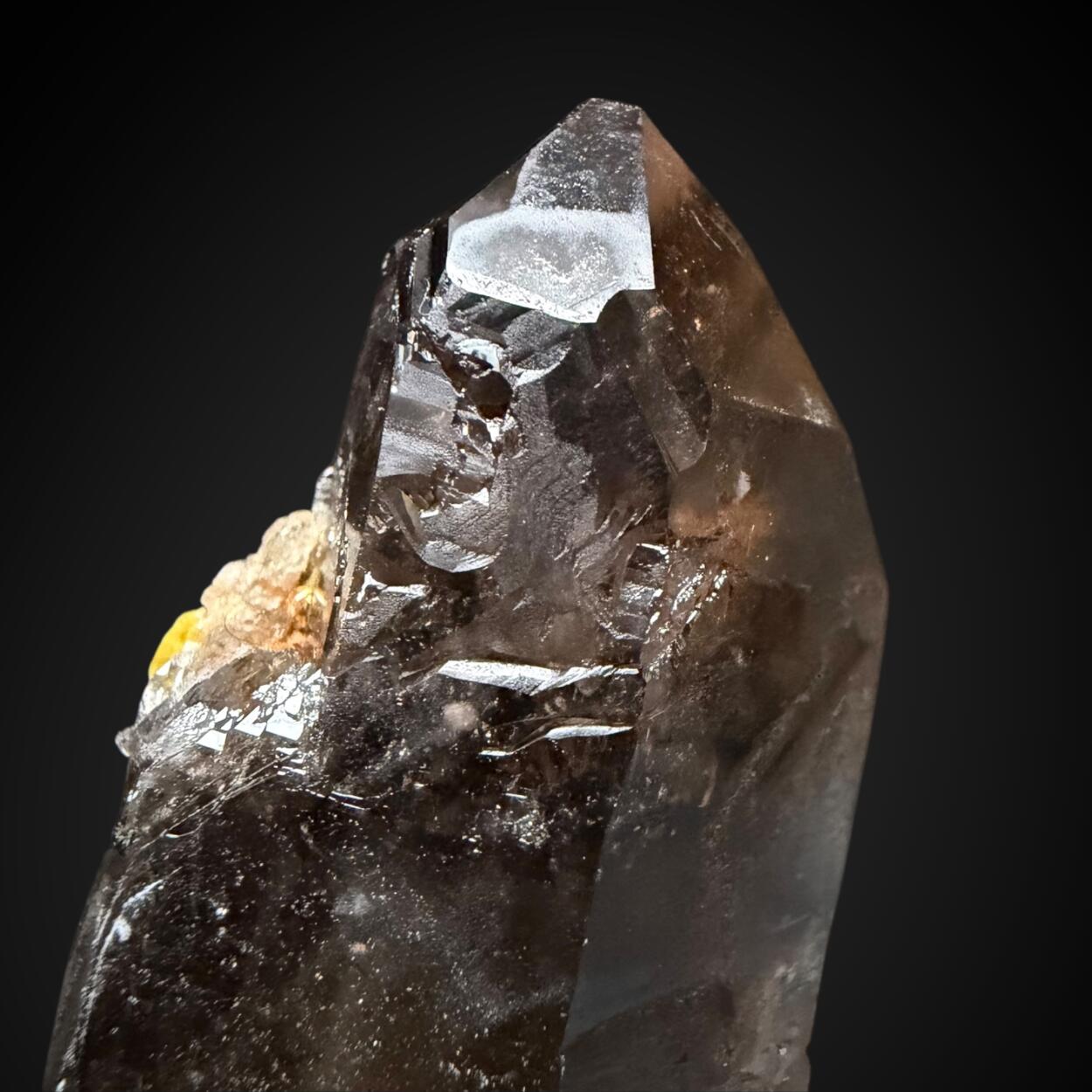 Xenotime-(Y) & Smoky Quartz