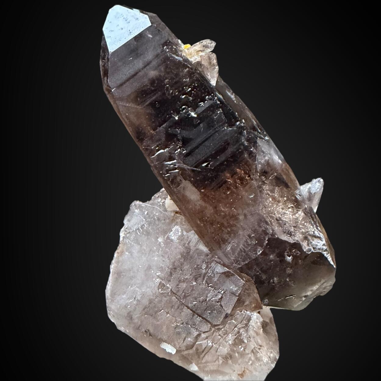 Xenotime-(Y) & Smoky Quartz