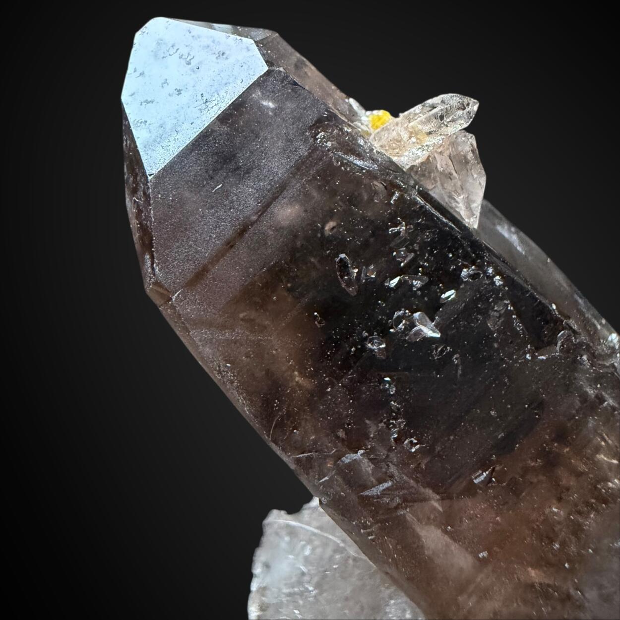 Xenotime-(Y) & Smoky Quartz