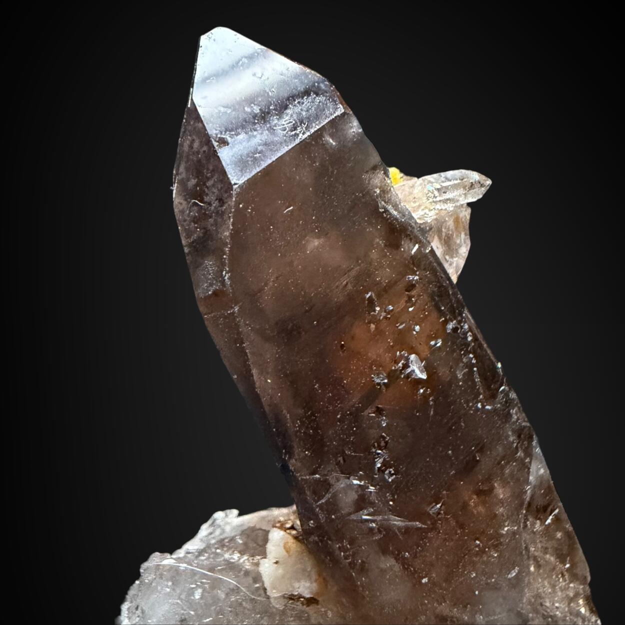 Xenotime-(Y) & Smoky Quartz