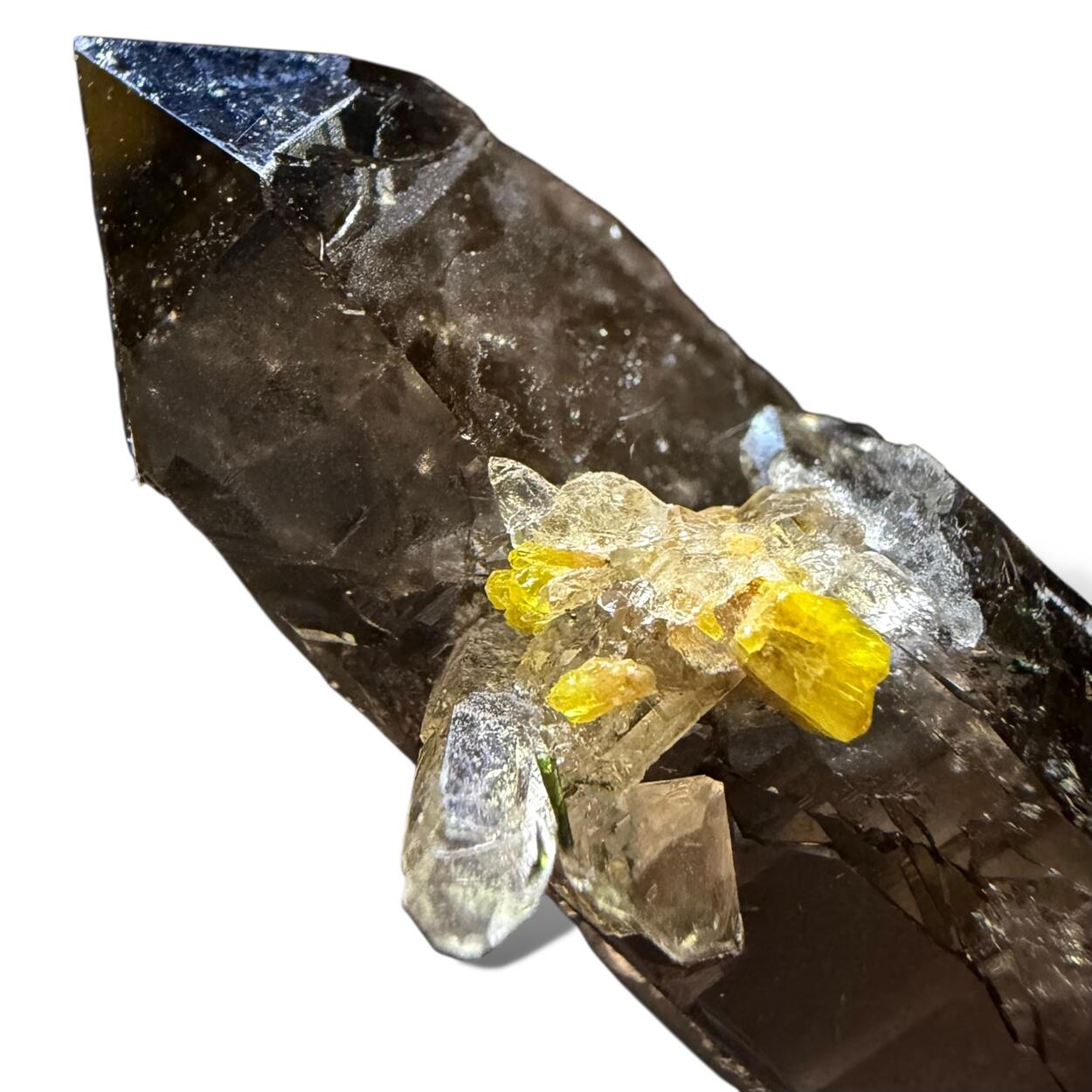 Xenotime-(Y) & Smoky Quartz