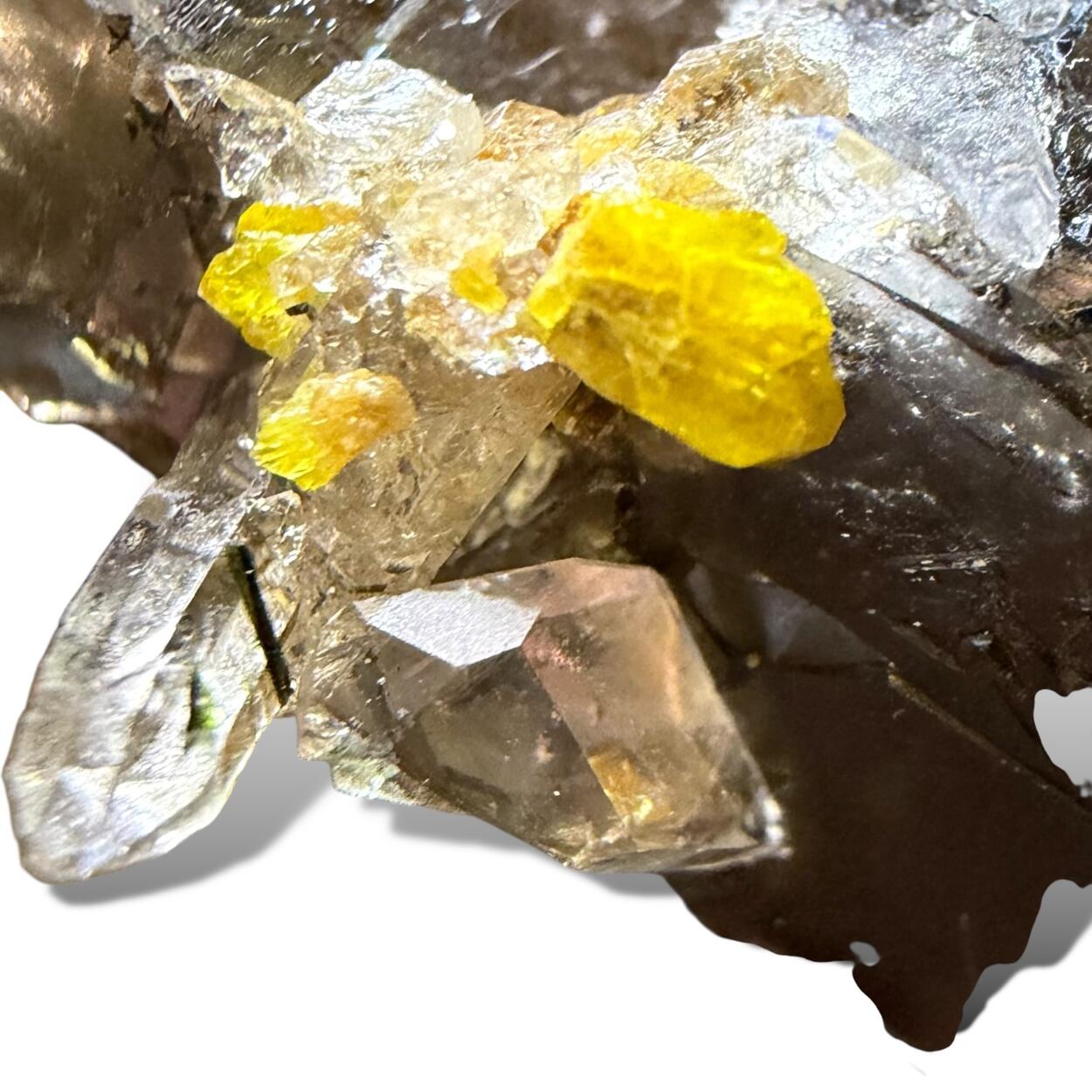 Xenotime-(Y) & Smoky Quartz