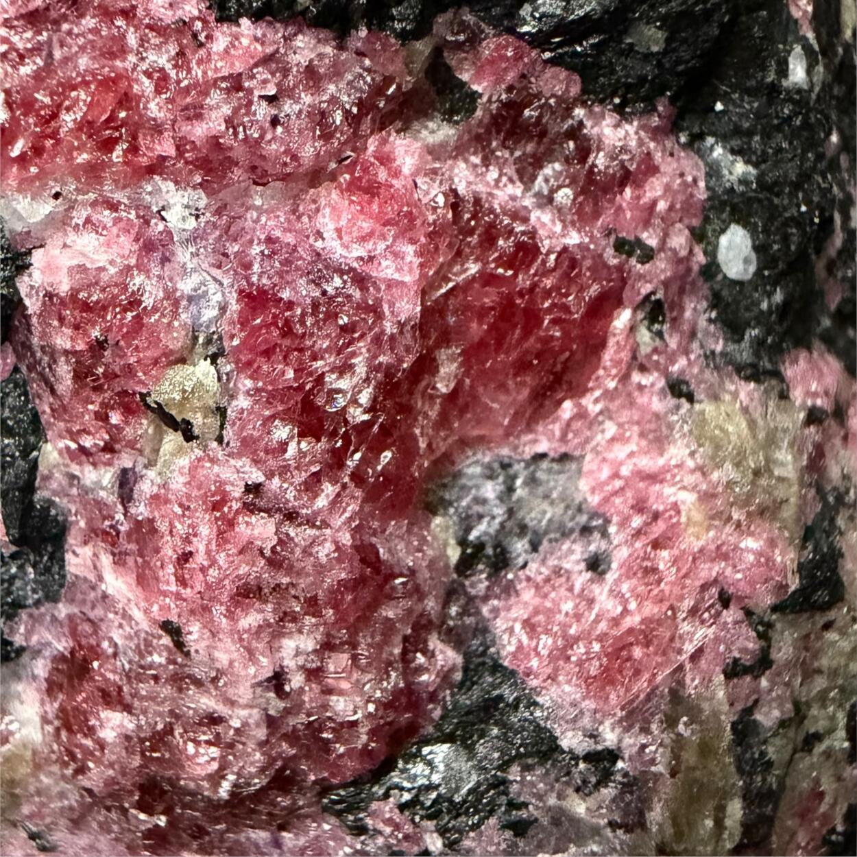 Eudialyte