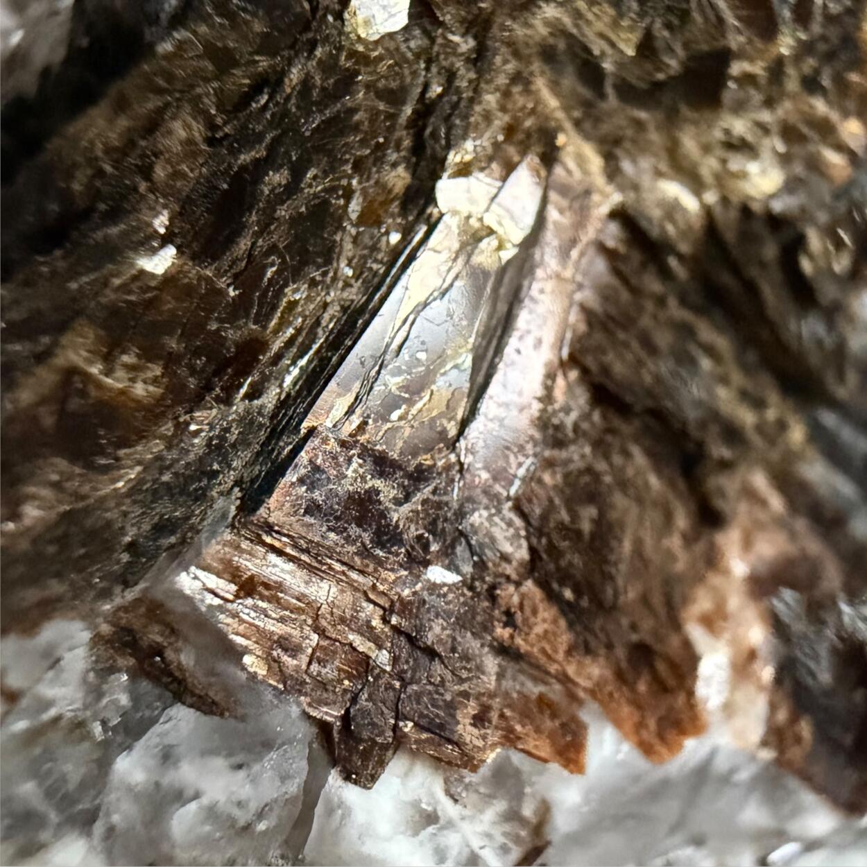 Astrophyllite & Aegirine