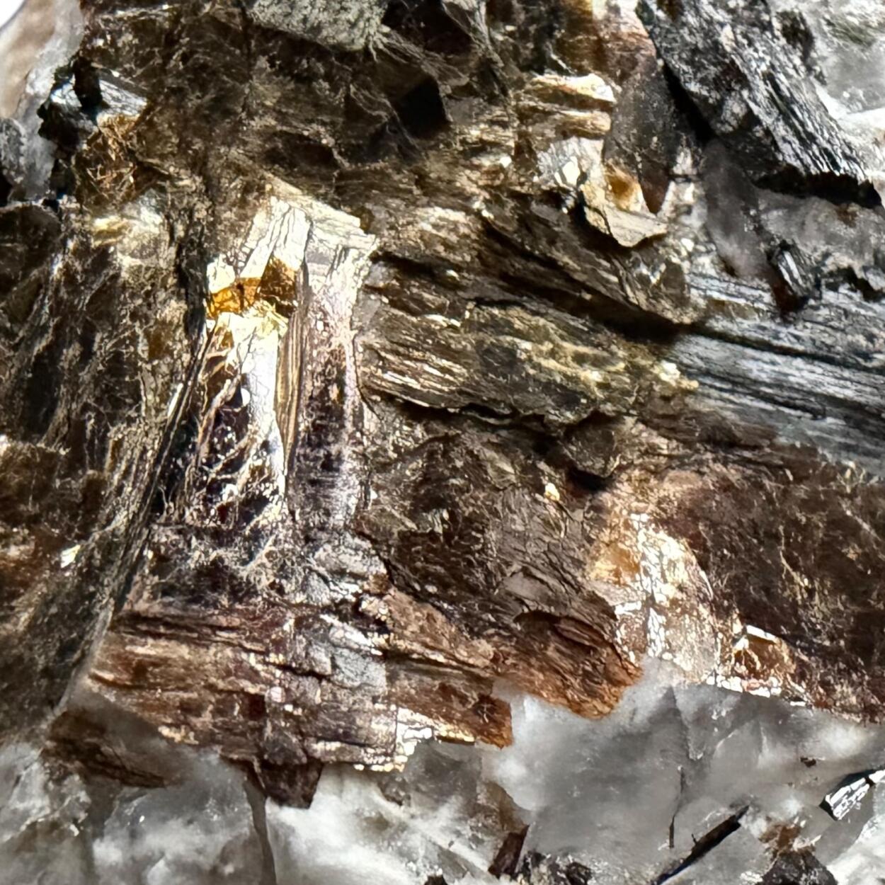 Astrophyllite & Aegirine