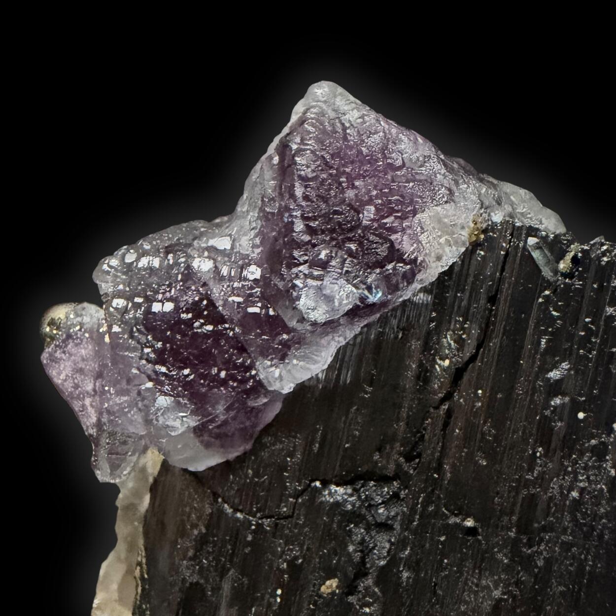 Fluorite & Wolframite