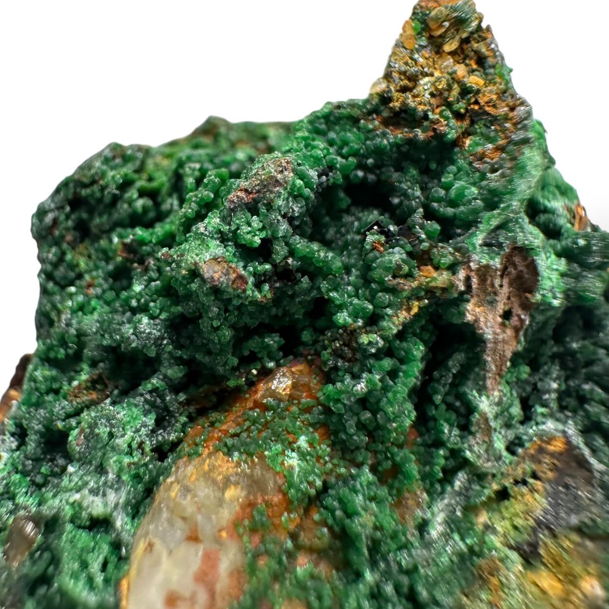 Bayldonite