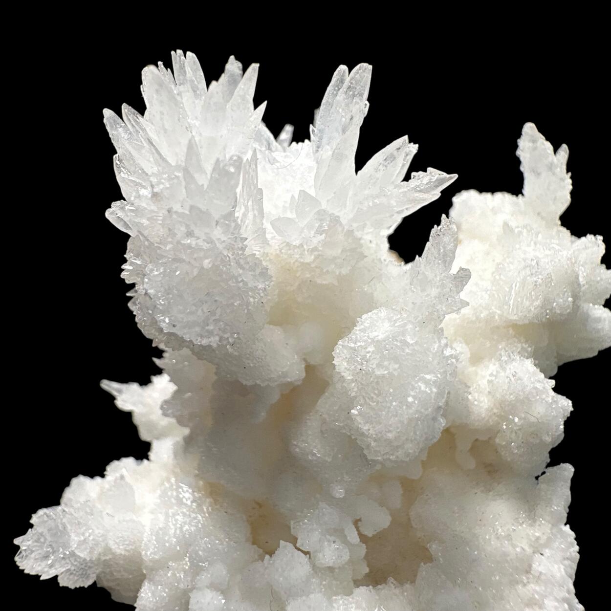 Aragonite & Calcite