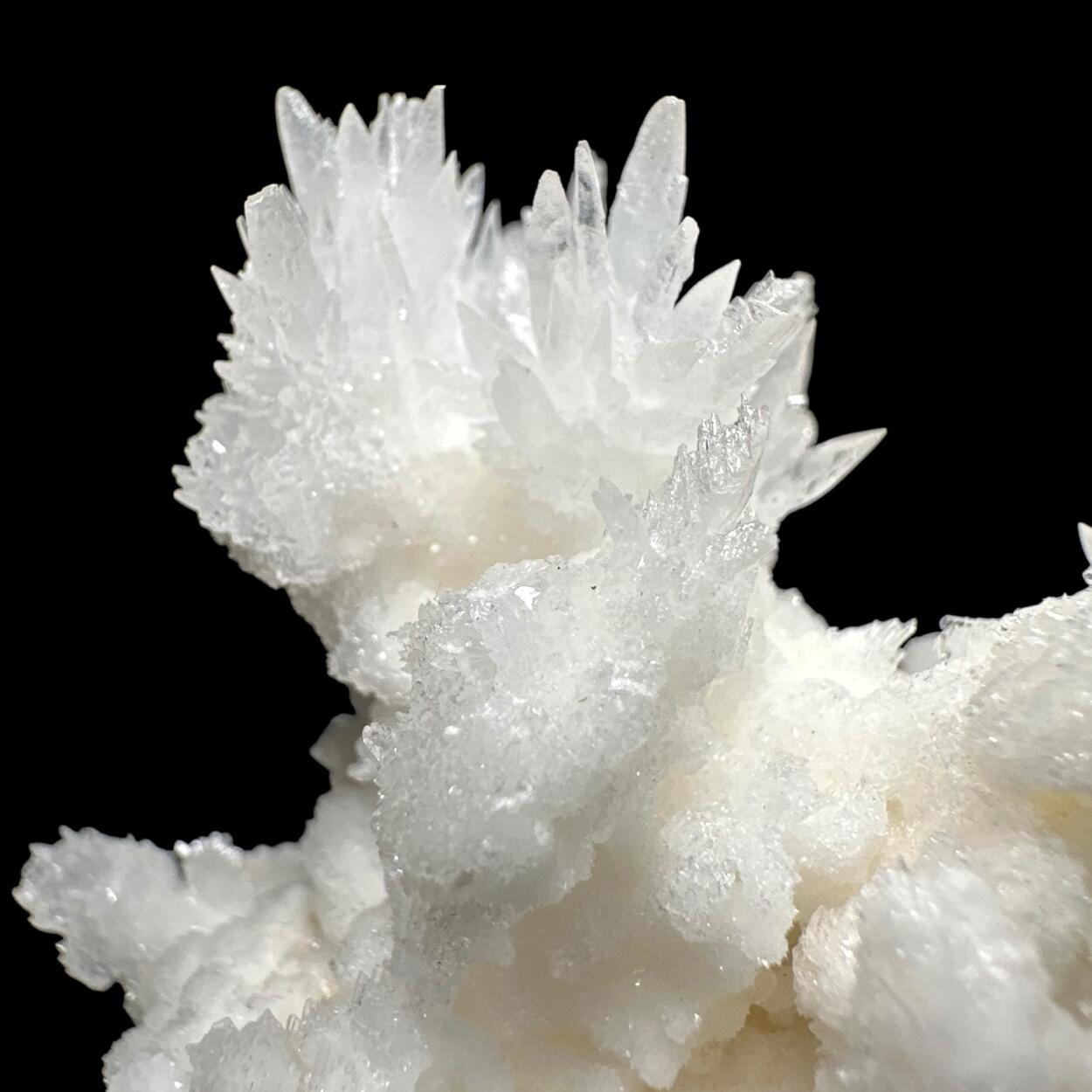 Aragonite & Calcite