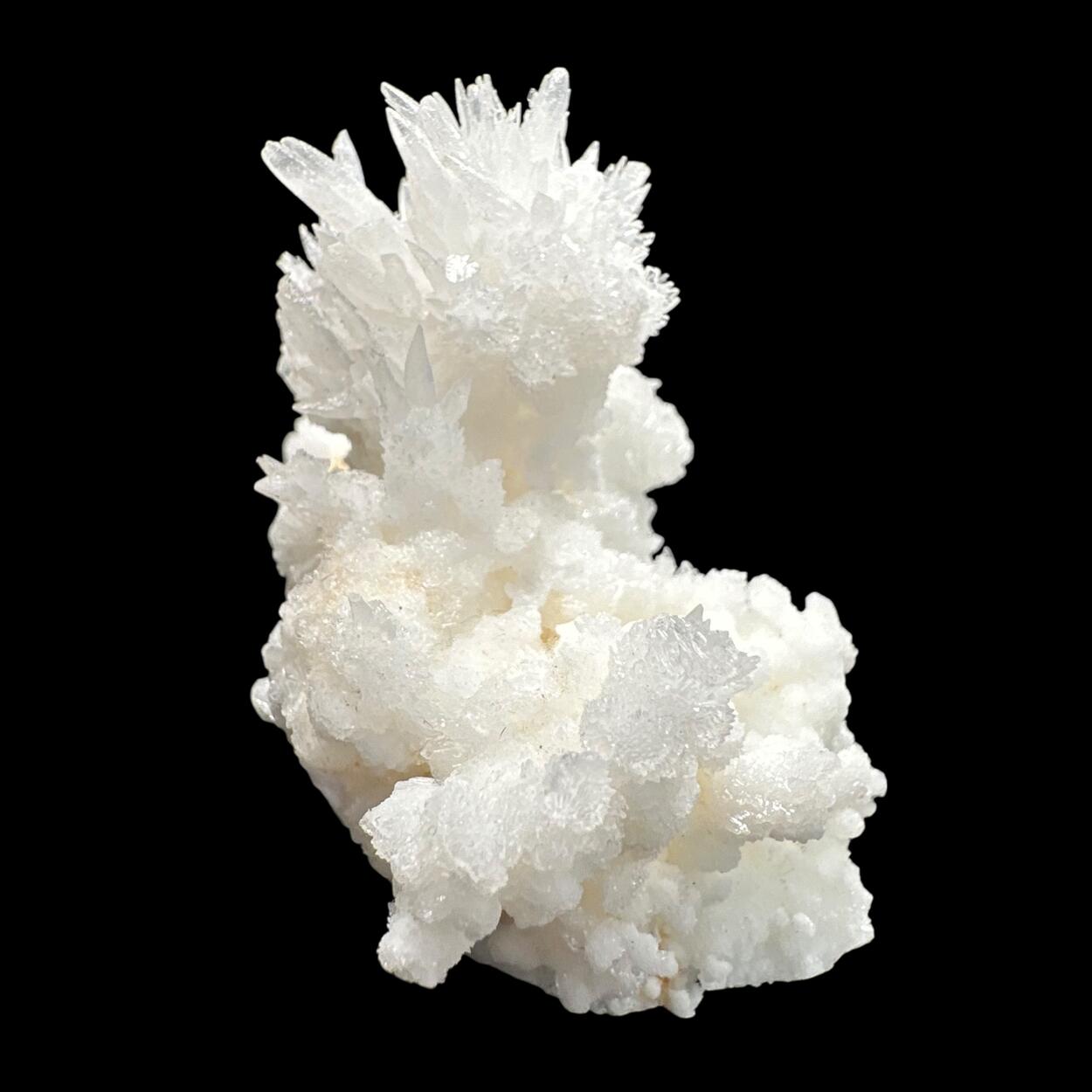 Aragonite & Calcite