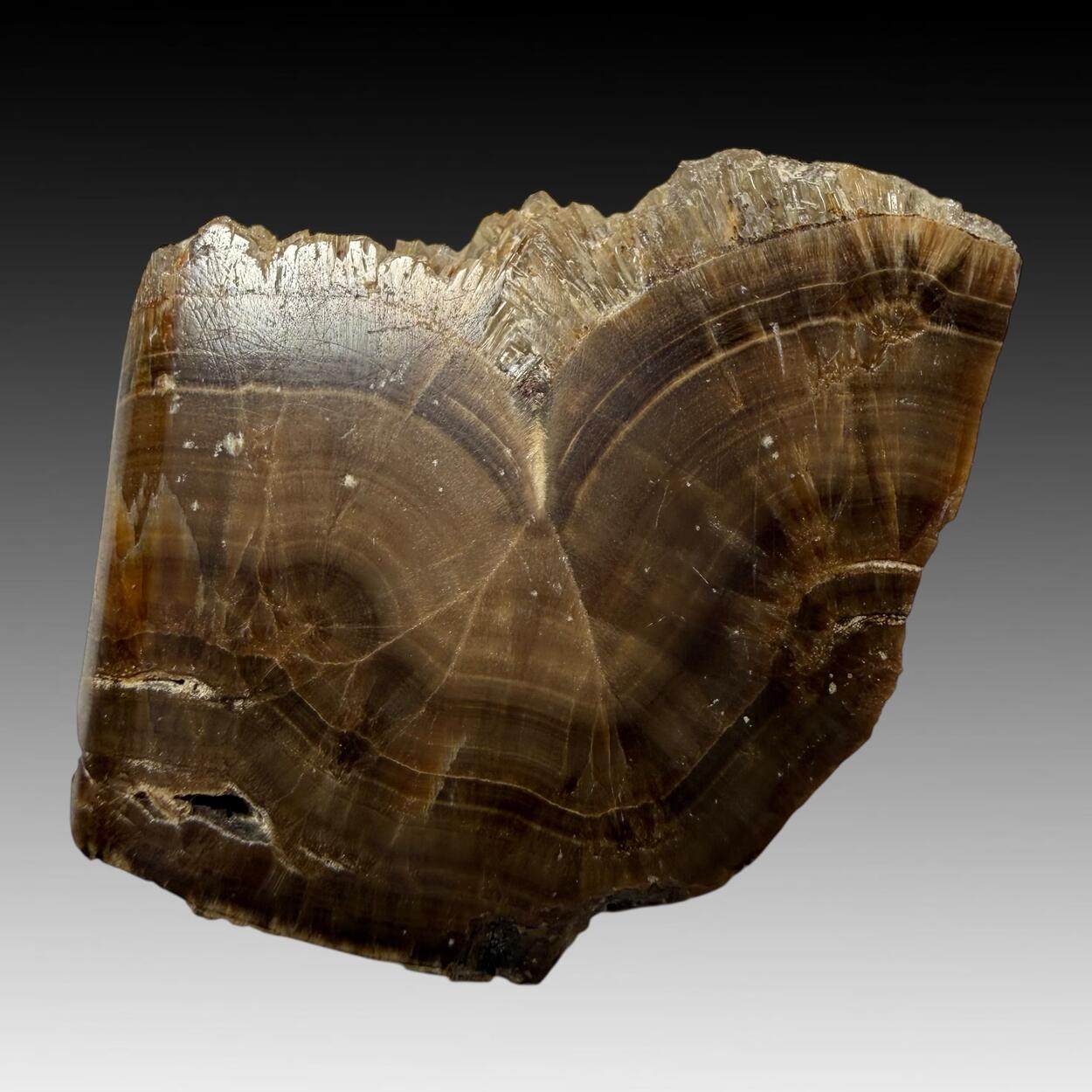 Baryte Var Oakstone