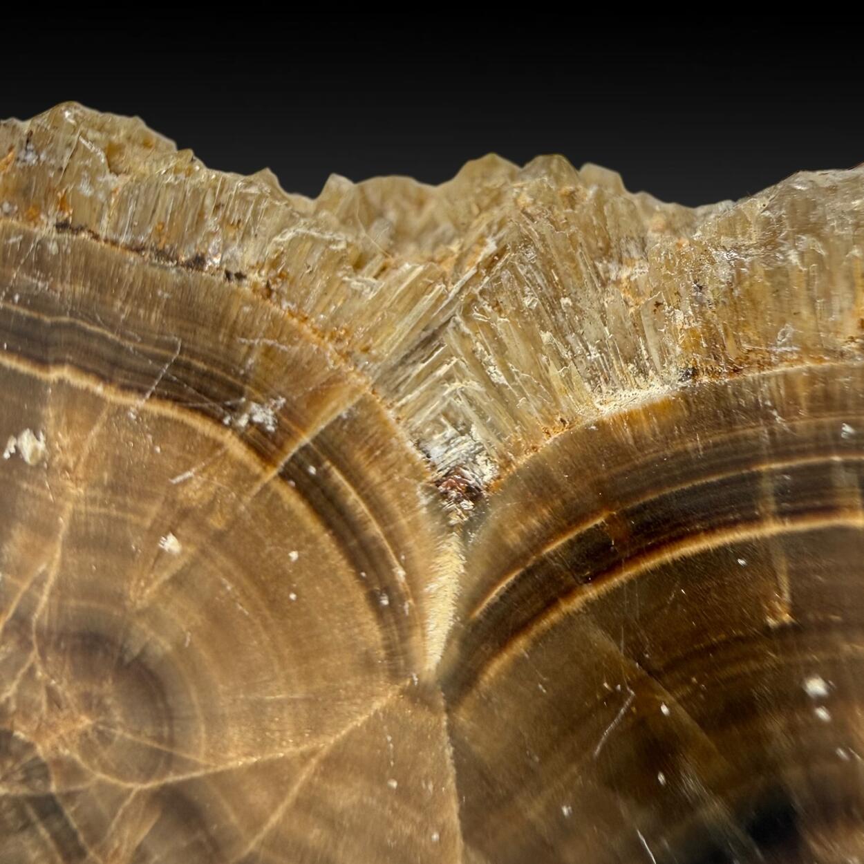 Baryte Var Oakstone