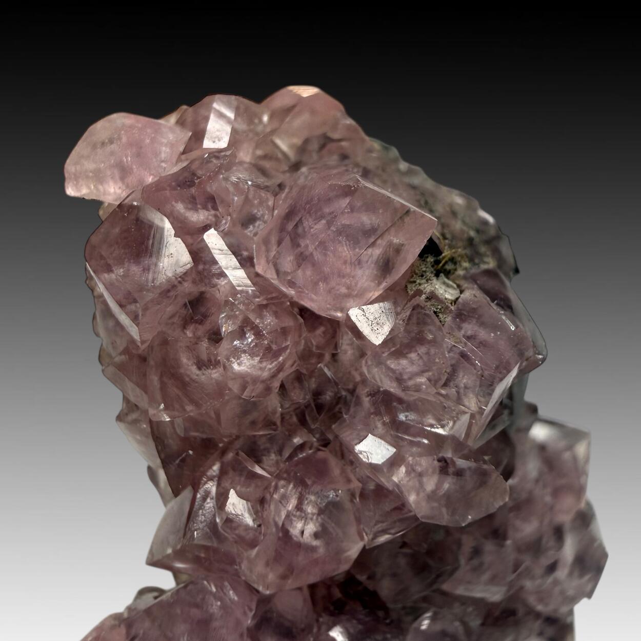 Cobaltoan Smithsonite