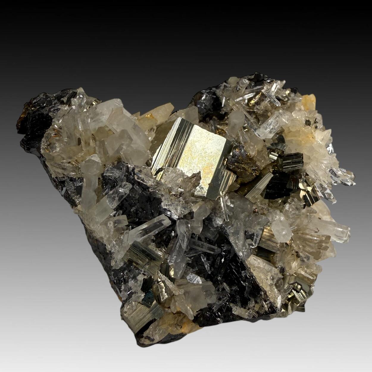 Chalcopyrite Pyrite Sphalerite & Quartz