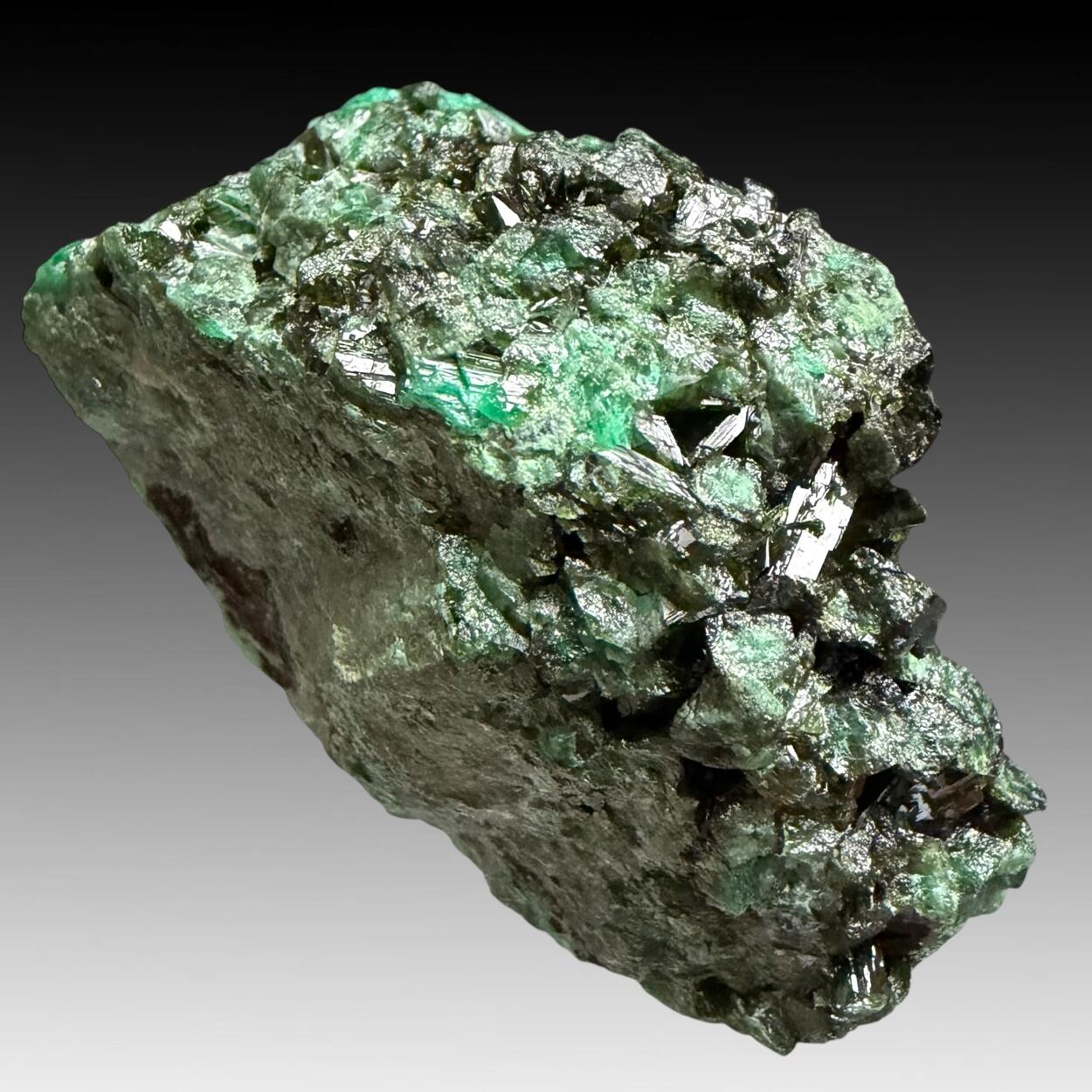 Olivenite With Cuprian Adamite