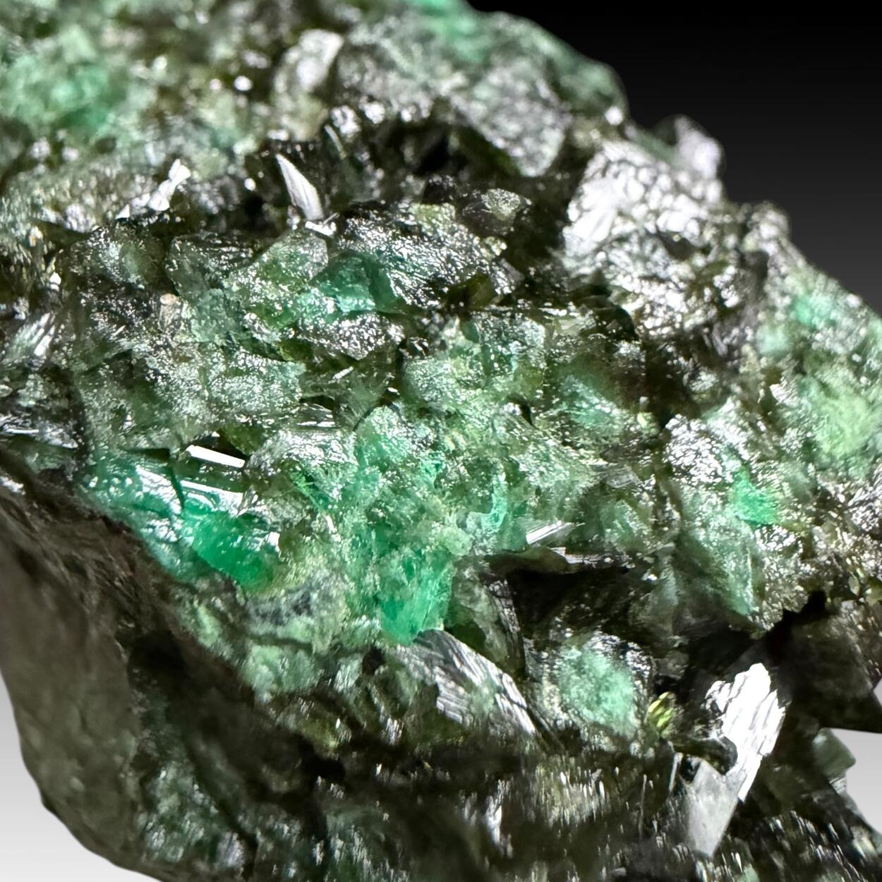 Olivenite With Cuprian Adamite