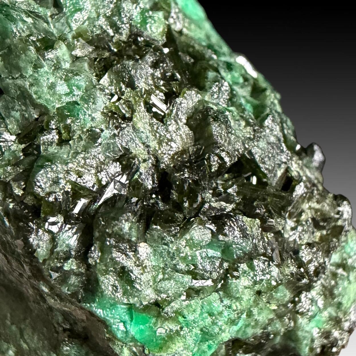 Olivenite With Cuprian Adamite