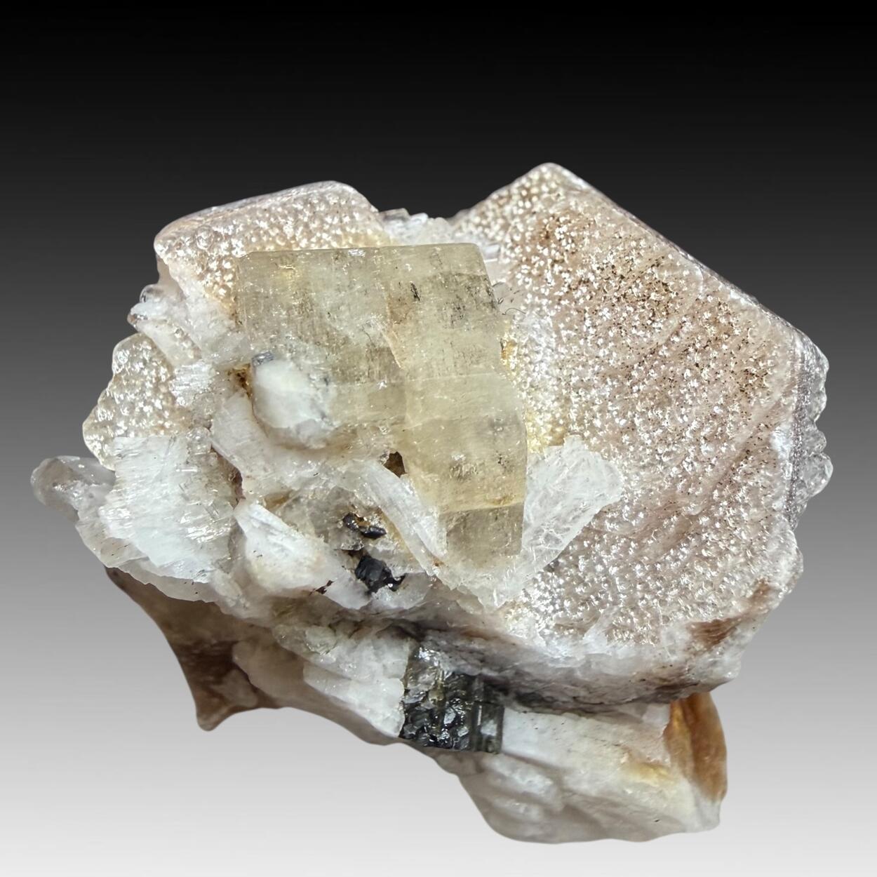 Fluorapatite With Lepidolite