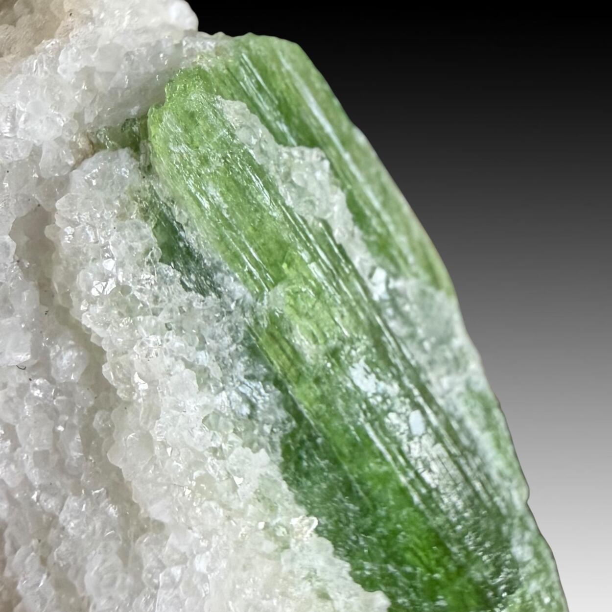 Tremolite