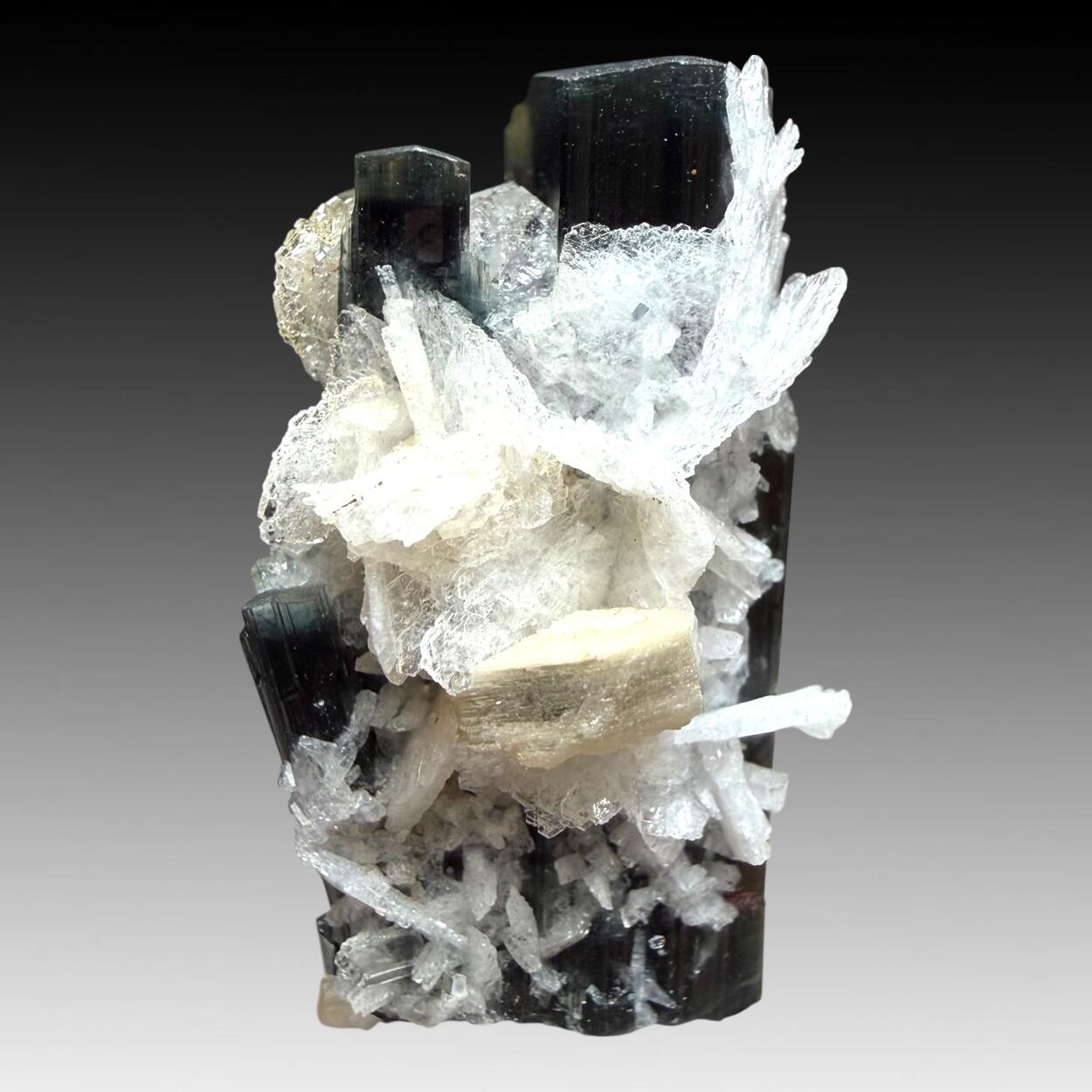 Tourmaline With Quartz & Cleavelandite