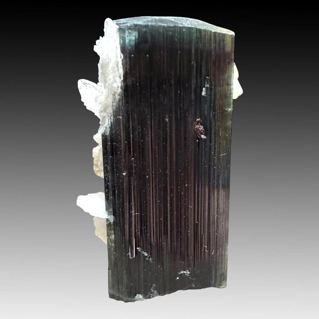 Tourmaline With Quartz & Cleavelandite
