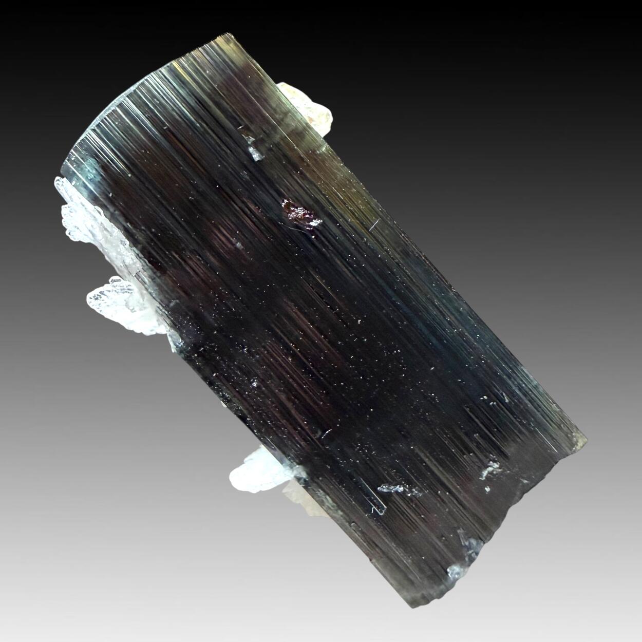 Tourmaline With Quartz & Cleavelandite