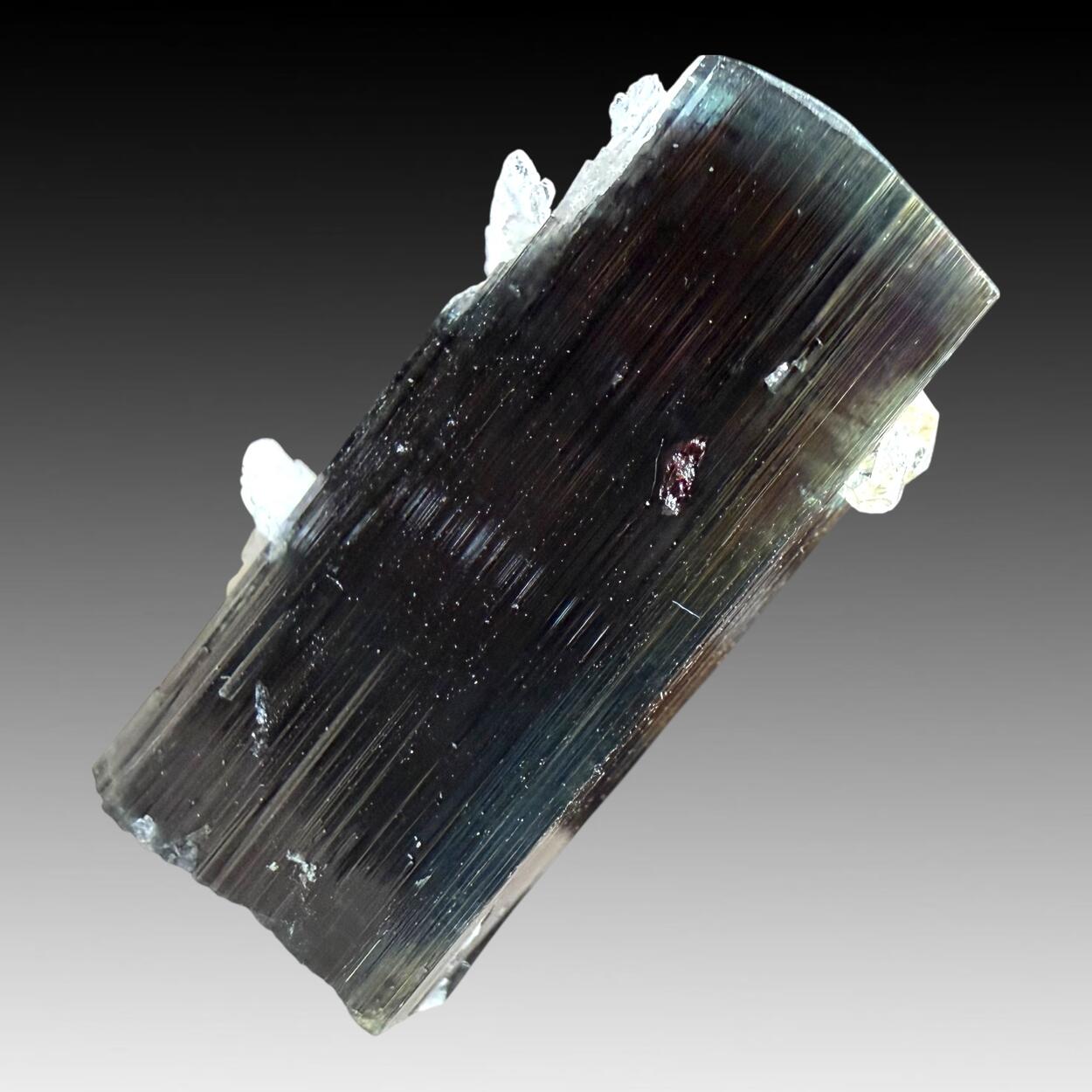 Tourmaline With Quartz & Cleavelandite