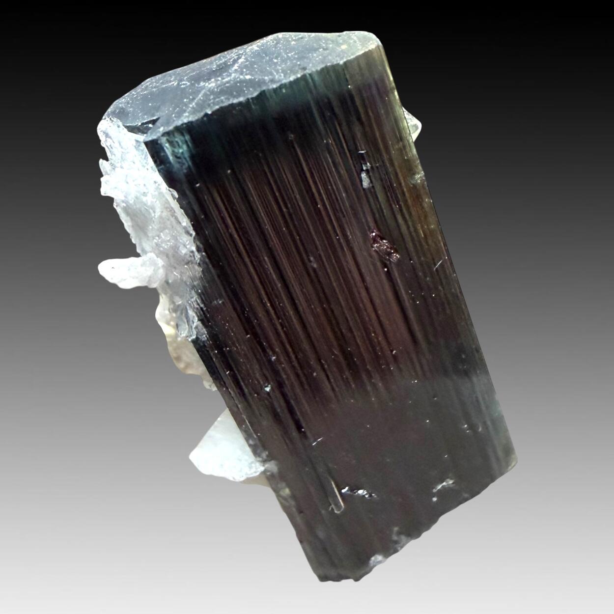 Tourmaline With Quartz & Cleavelandite