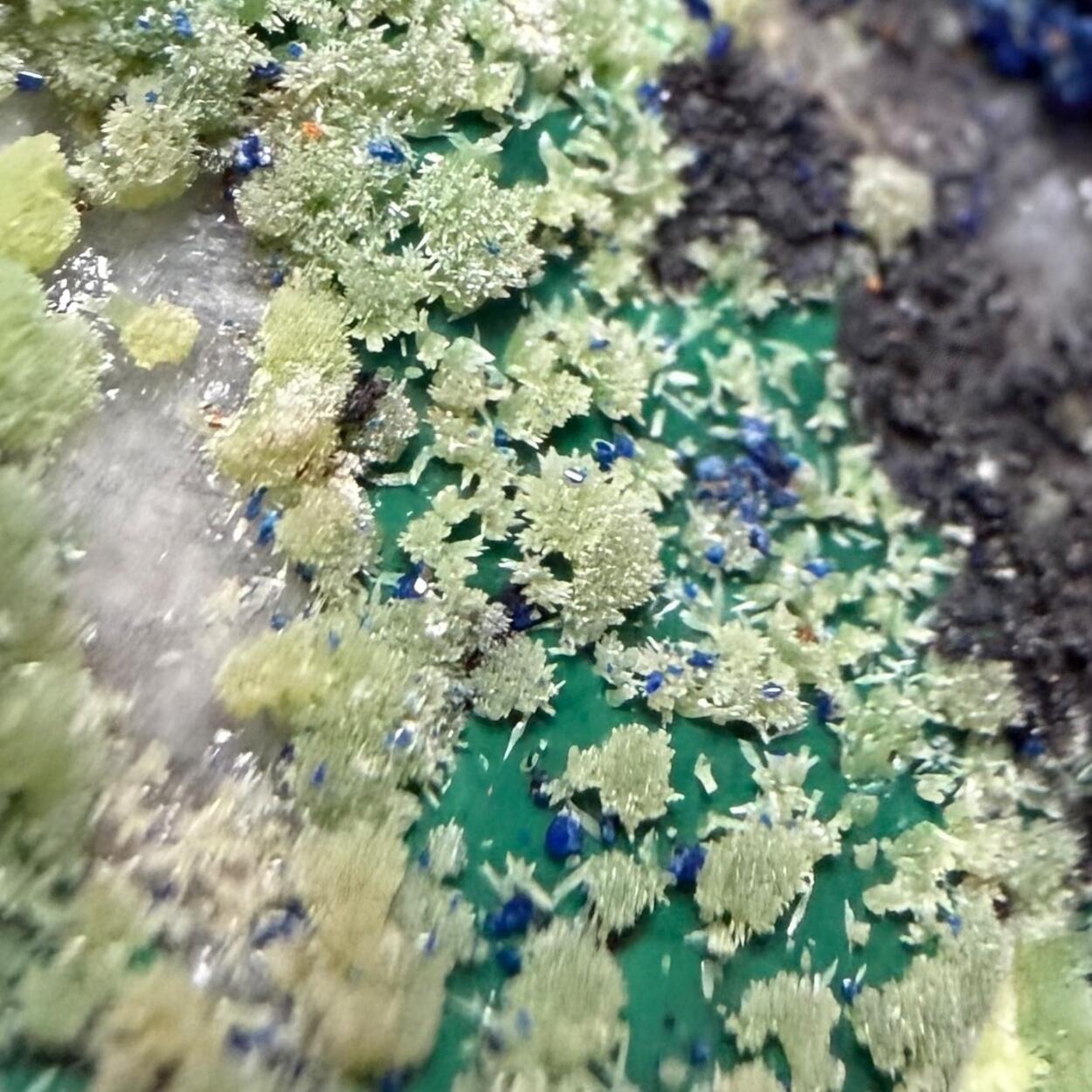 Azurite With Pyromorphite & Malachite