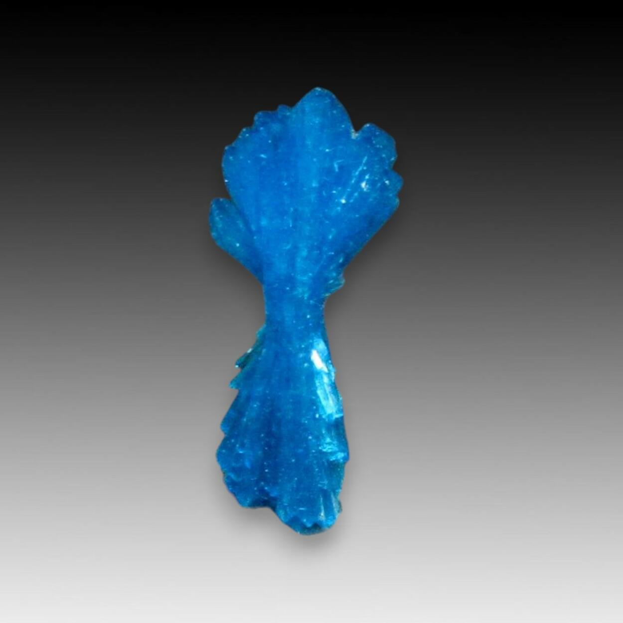 Cavansite
