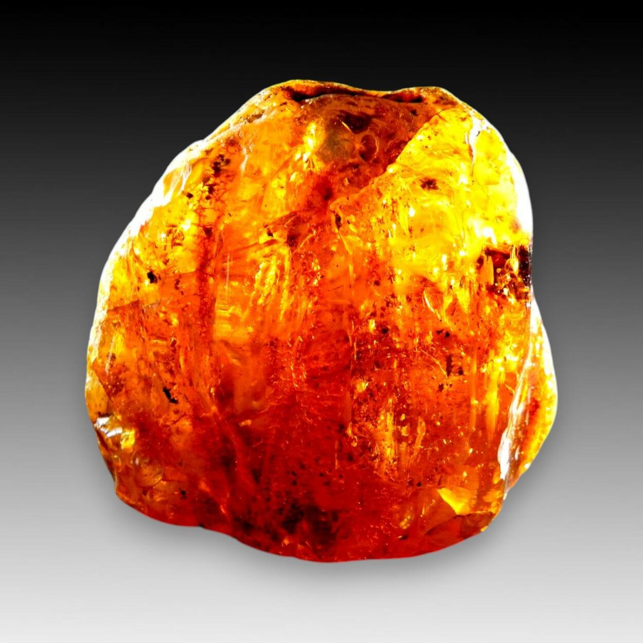 Amber Var Succinite