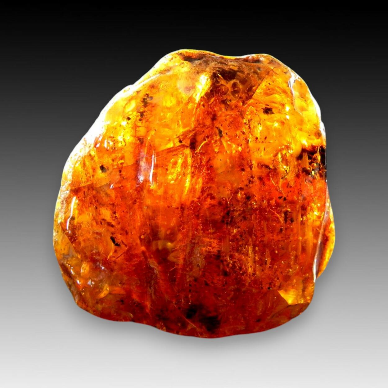 Amber Var Succinite