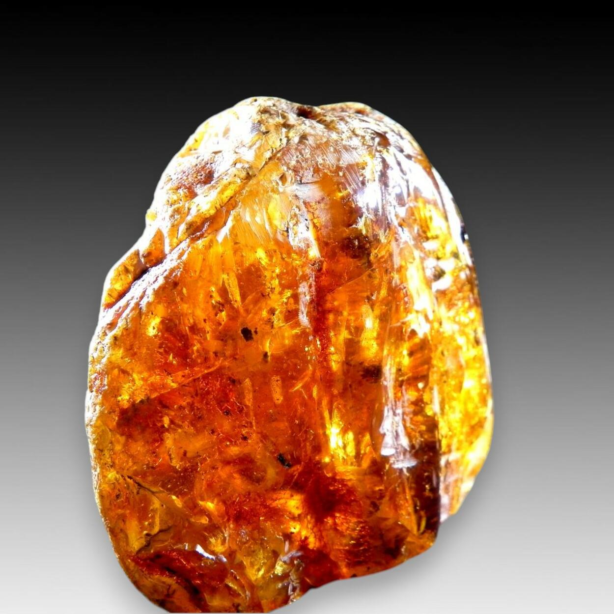 Amber Var Succinite