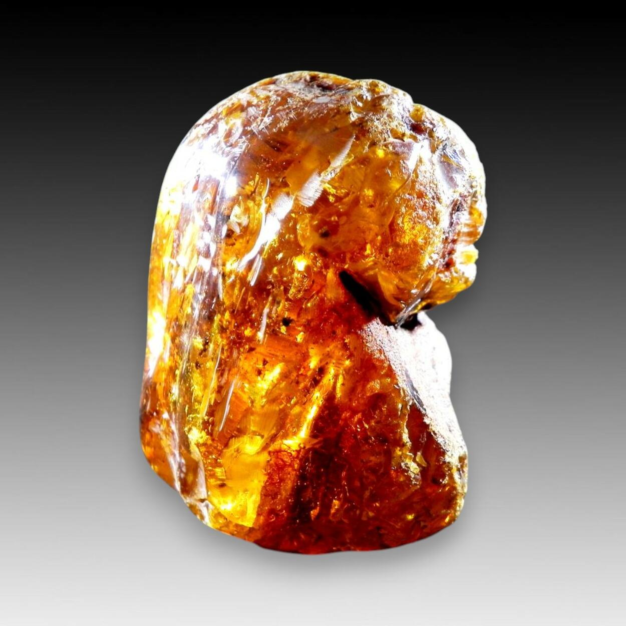 Amber Var Succinite